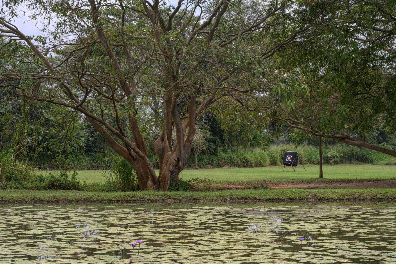 Water Garden Sigiriya Ξενοδοχείο Εξωτερικό φωτογραφία