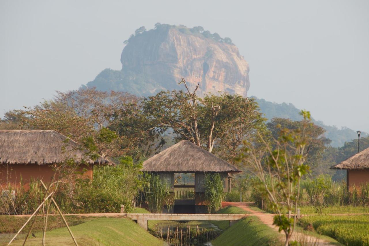 Water Garden Sigiriya Ξενοδοχείο Εξωτερικό φωτογραφία