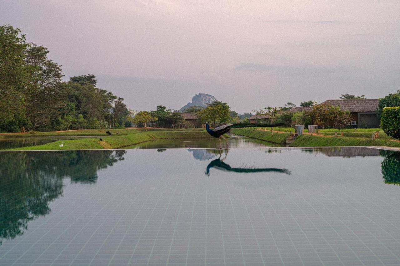 Water Garden Sigiriya Ξενοδοχείο Εξωτερικό φωτογραφία